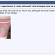 Illustration for article titled Stormfront On Steve Bannons Appointment: It Doesnt Get Any Better Than This